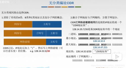 無分類編址CIDR與超網(wǎng)技術(shù) 計(jì)算機(jī)信息網(wǎng)絡(luò)的靈活設(shè)計(jì)之道